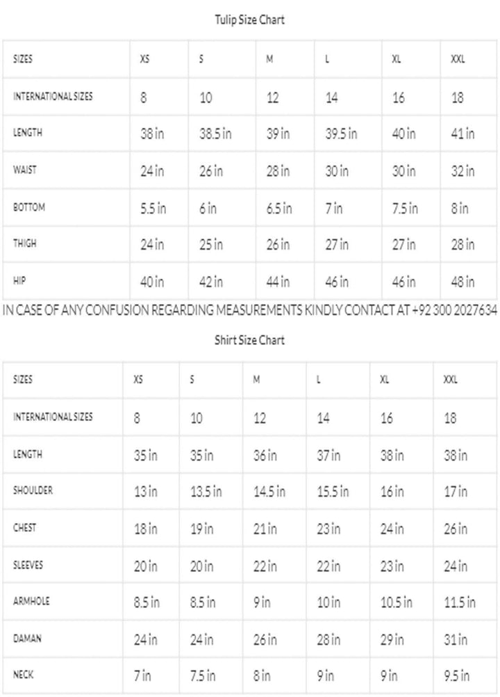 Zaaviay Luxury Pret Embroidered Velvet 2 Piece Suit ZBHM22-11 ZARNISH