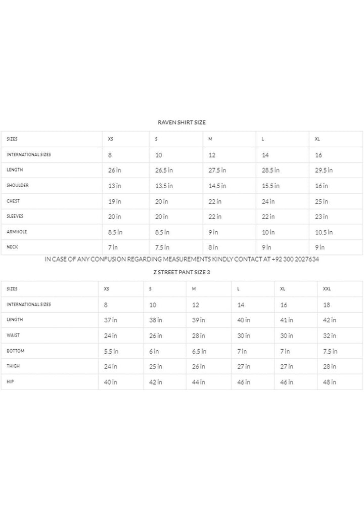 Zaaviay Pret  Cotton Silk 2 Piece Dress ZSZ23-023 RAVEN