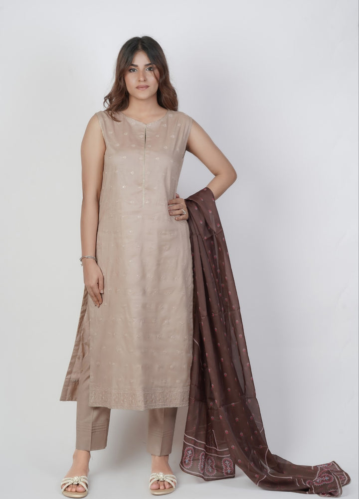 Vibgyor Fashion Embroidered Cotton Lawn Suits Unstitched 3 Piece Skin Brown D11-S-25