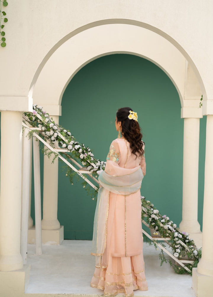 Lotus by Hem Pret Embroidered Organza 4 Piece Suit Rose Pink