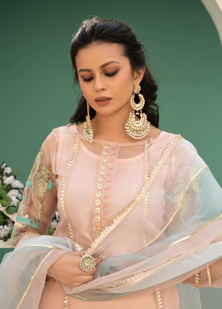 Lotus by Hem Pret Embroidered Organza 4 Piece Suit Rose Pink