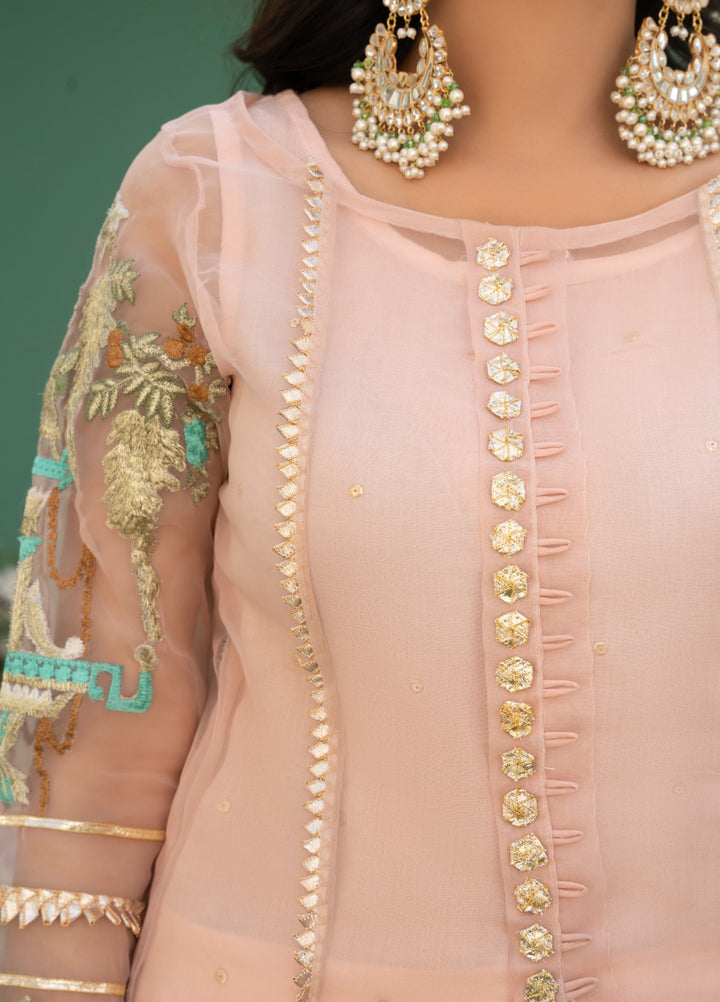 Lotus by Hem Pret Embroidered Organza 4 Piece Suit Rose Pink