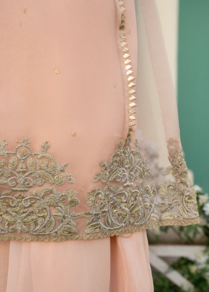 Lotus by Hem Pret Embroidered Organza 4 Piece Suit Rose Pink