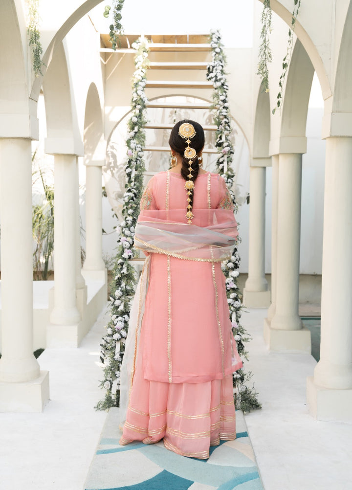 Lotus by Hem Pret Embroidered Organza 4 Piece Suit Light Pink