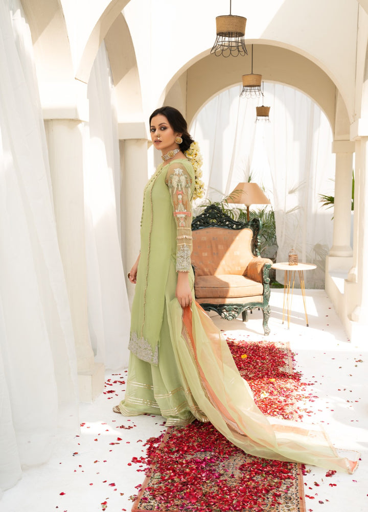 Lotus by Hem Pret Embroidered Organza 4 Piece Suit Light Green