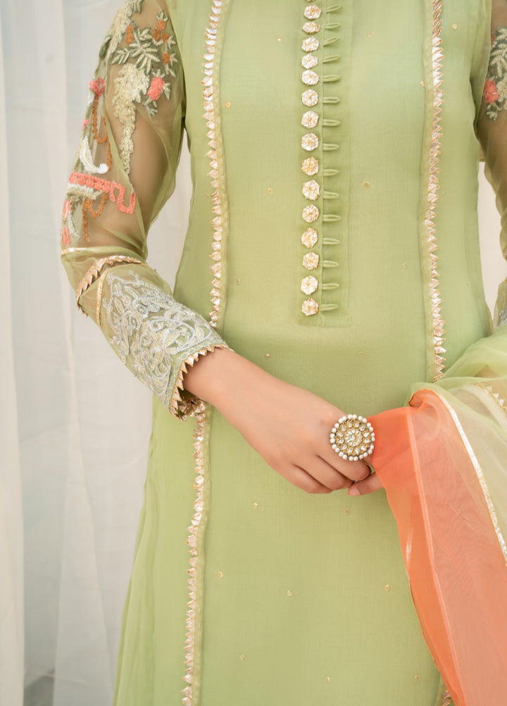 Lotus by Hem Pret Embroidered Organza 4 Piece Suit Light Green
