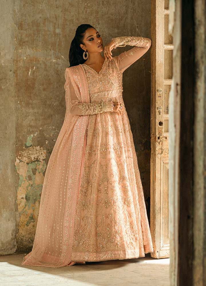 Sahane The Wedding Chapter Unstitched Organza 3 Piece Suit CT 36002 Florisse- Formals Collection