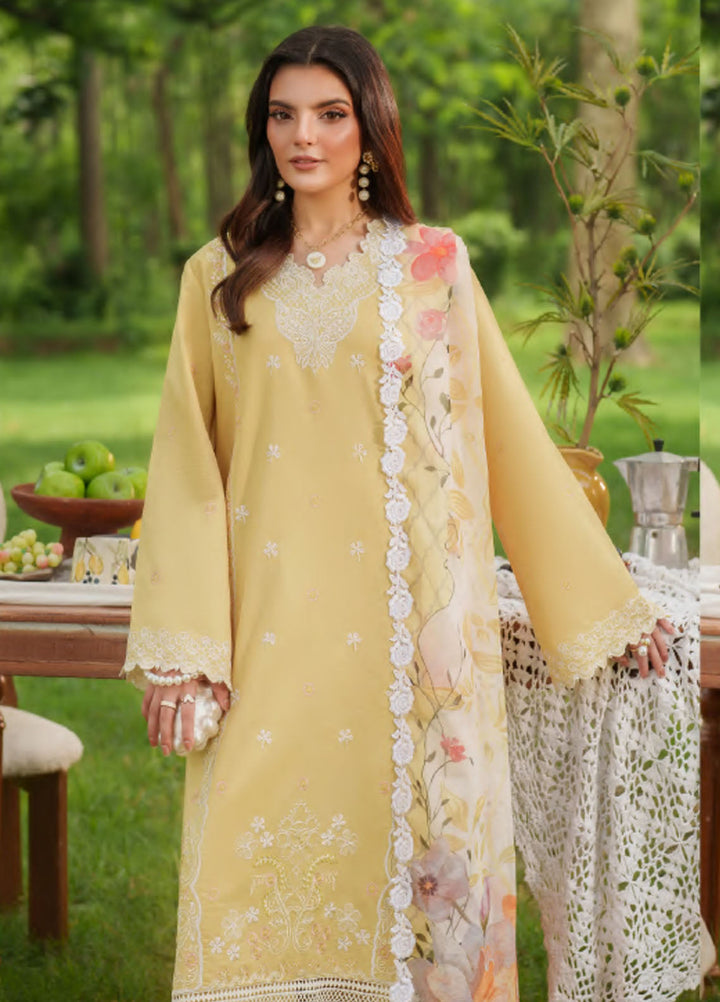 Eden by Asifa Nabeel Embroidered Cambric Suits Unstitched 3 Piece AN25ED ECC-10 Golden Dust- Winter Collection