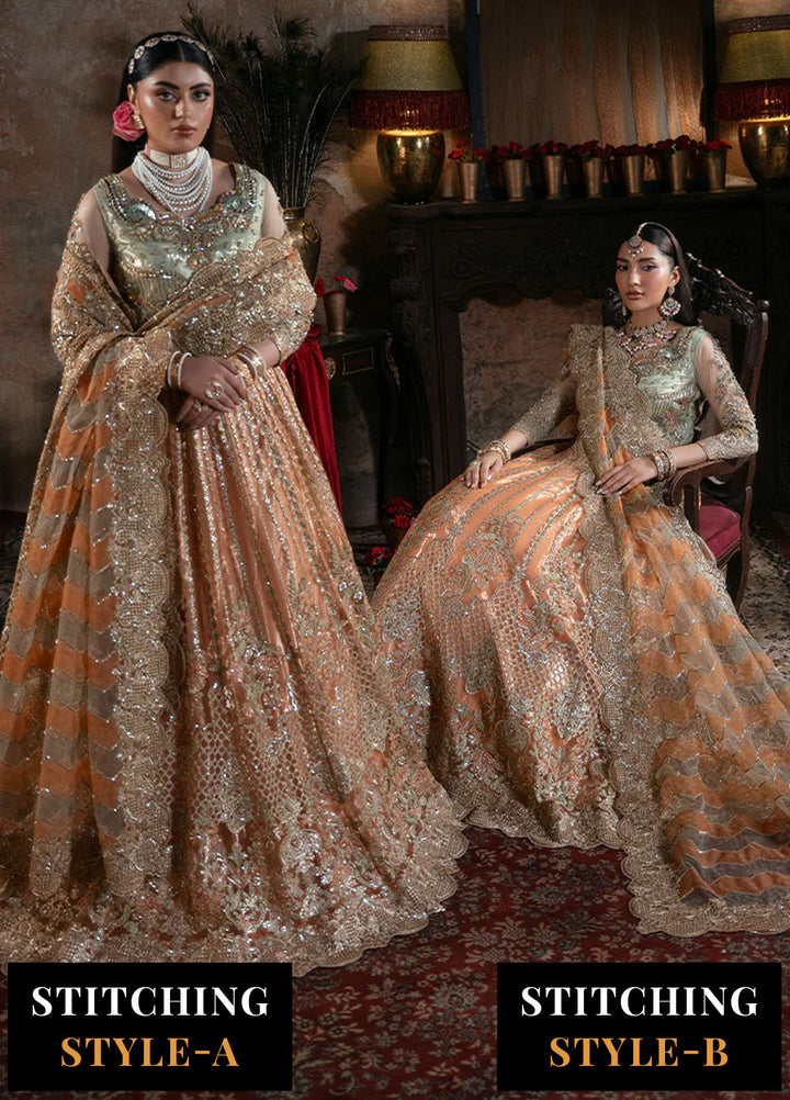 Noor e Naaz by Imrozia  Embroidered Net 3 Piece Suit IB-56 Sitarah