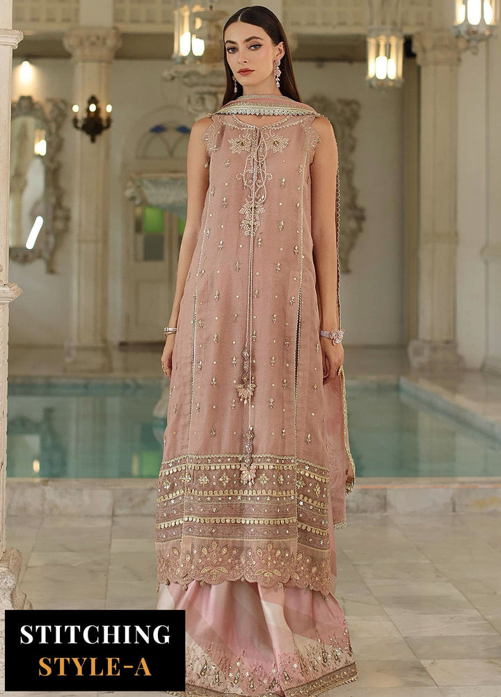 Noor by Saadia Asad Embroidered Cotton Net Suits Unstitched 3 Piece NSA25UF D-04 - Formals Collection