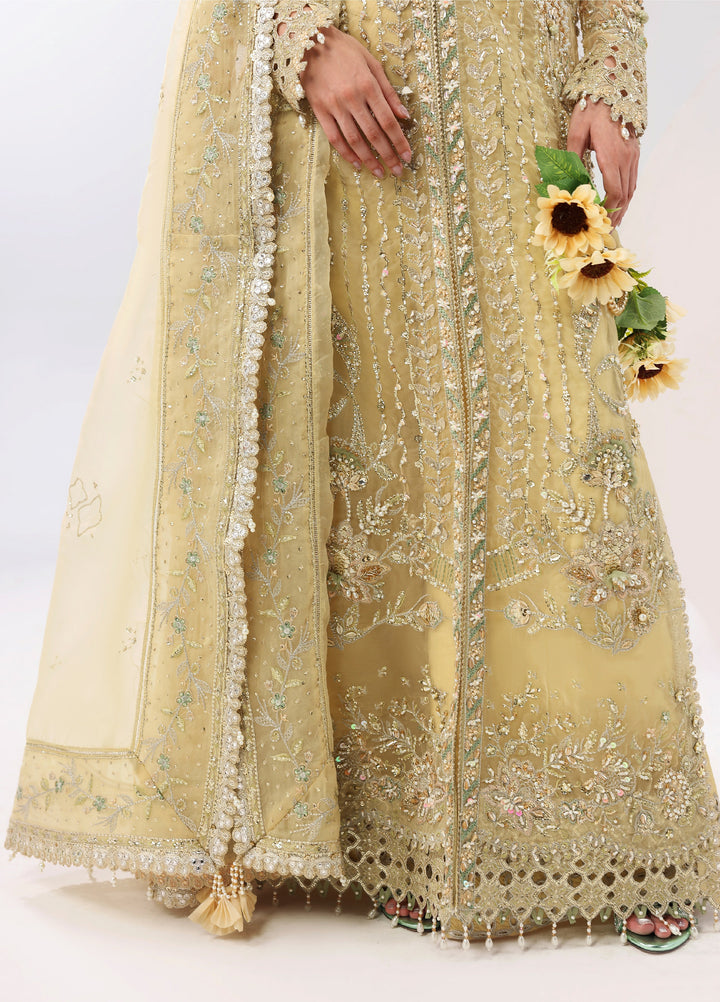 Lamore by Sardinia Unstitched Luxury Hand Work Organza 3 peice SRD25LH D-2 Amber Haze - Formals Collection