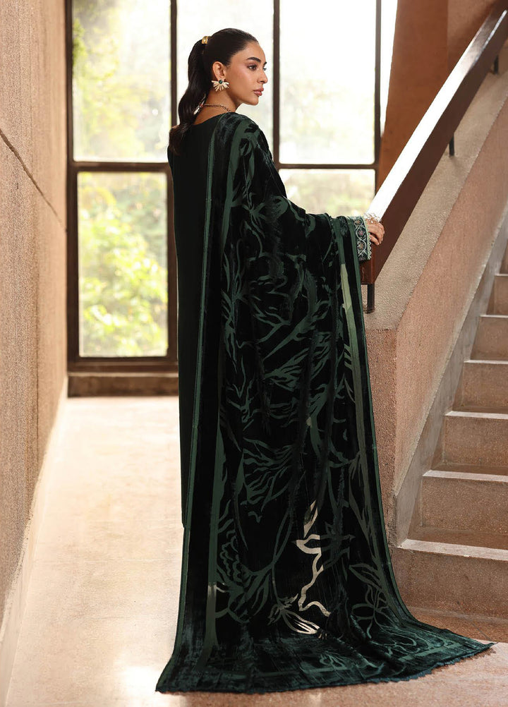 Rajbari Premium Unstitched Peach Winter Shawl Exclusive Embroidered Suits 3 Piece RB25PW D-9 - Winter Collection