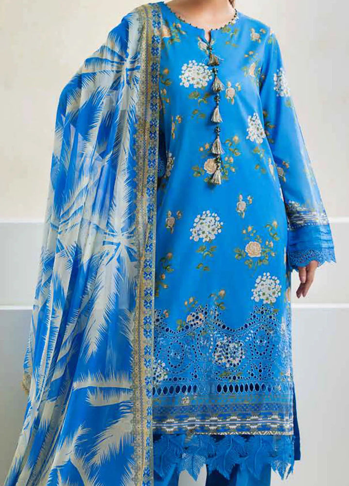 Aafreen By Riaz Arts Chikankari Lawn Suit Unstitched 3 Piece RA24A AF-89 - Summer Collection