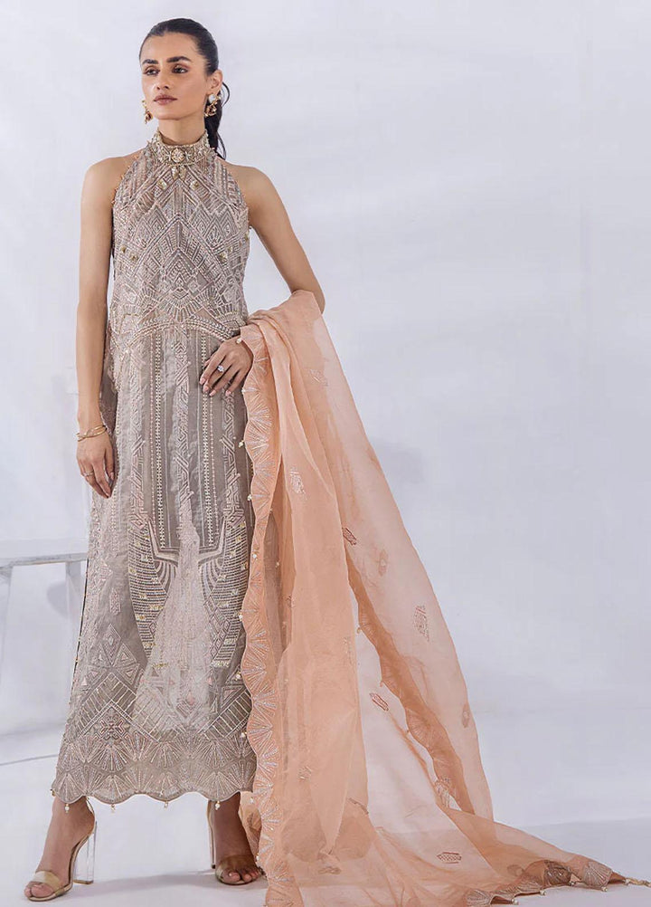Afreen By Malook Embroidered Organza Suits Unstitched 4 Piece MLK23AF Aaira - Festive Collection
