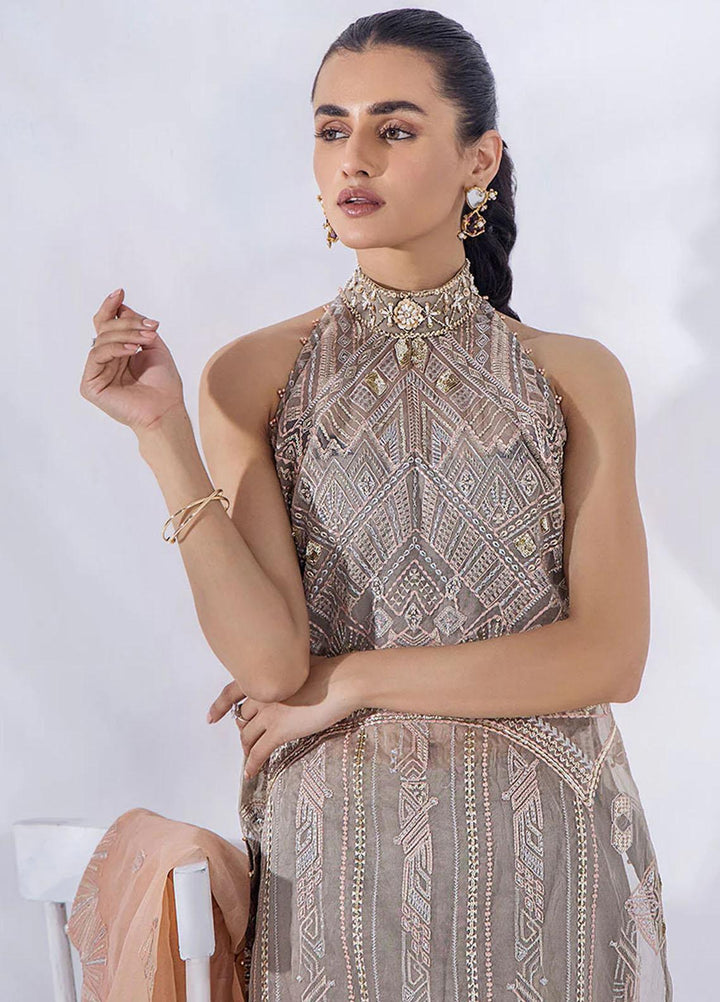 Afreen By Malook Embroidered Organza Suits Unstitched 4 Piece MLK23AF Aaira - Festive Collection