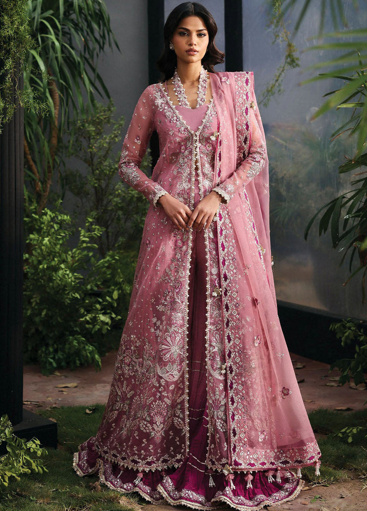 Afrozeh Embroidered Chiffon Suits Unstitched 3 Piece AF25LF D-01 Seraira - Formals Collection