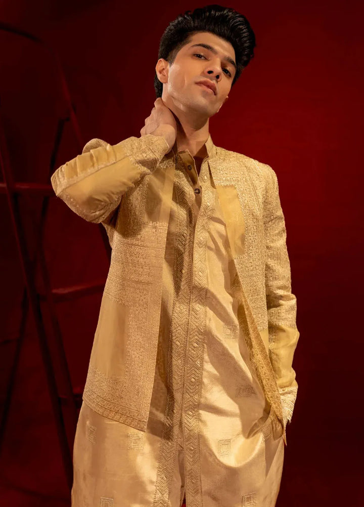 Ahmad Raza Embroidered Men Prince Suit - AR9022