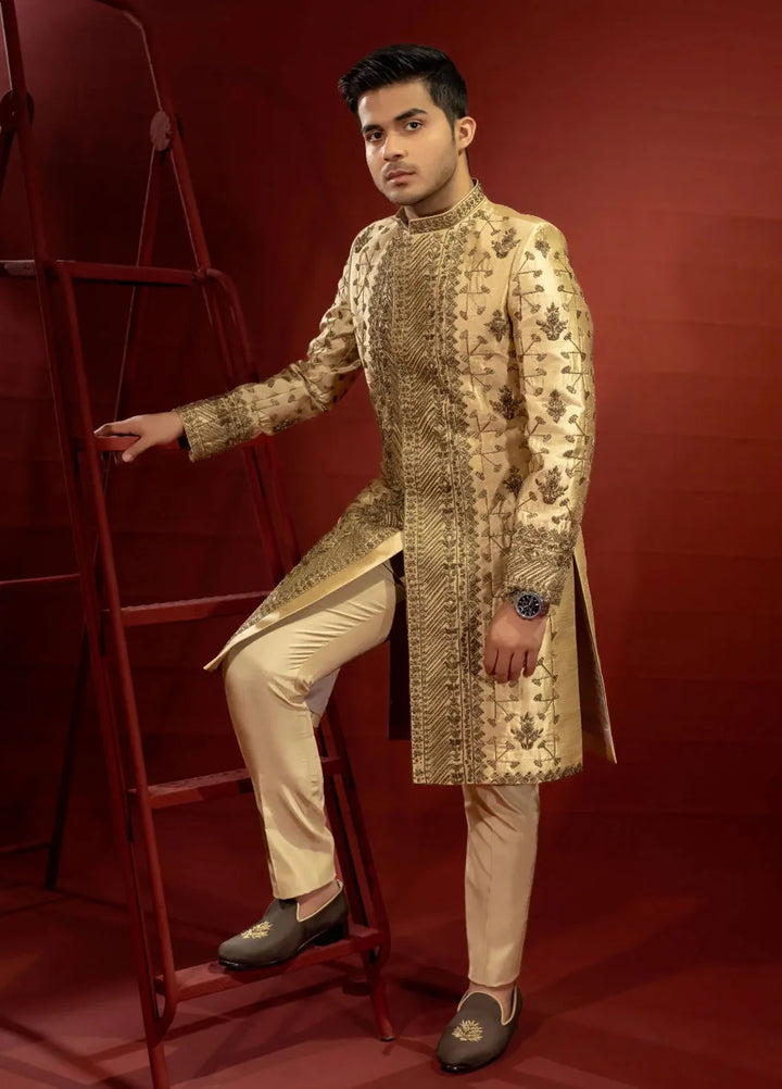 Ahmad Raza Embroidered Men Sherwani - AR9026