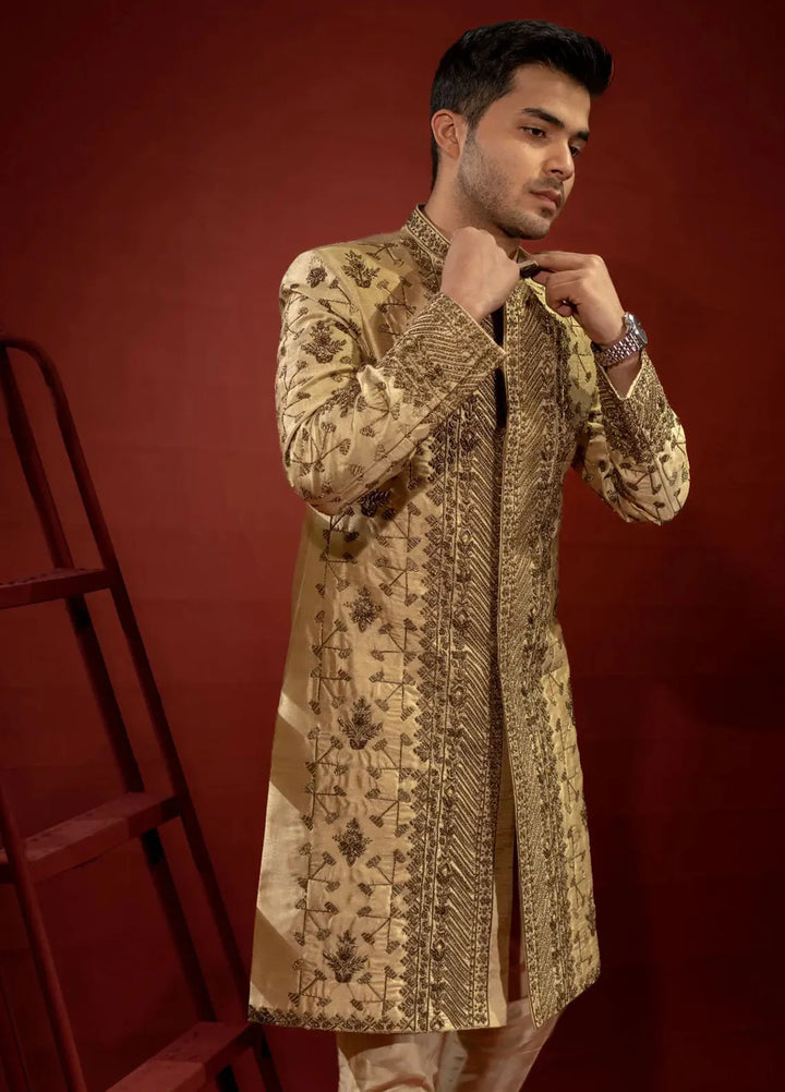 Ahmad Raza Embroidered Men Sherwani - AR9026