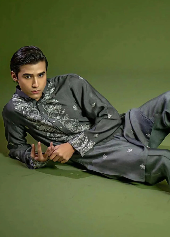 Ahmad Raza Formal Cotton Net Mens 2 Piece Suit AR5148