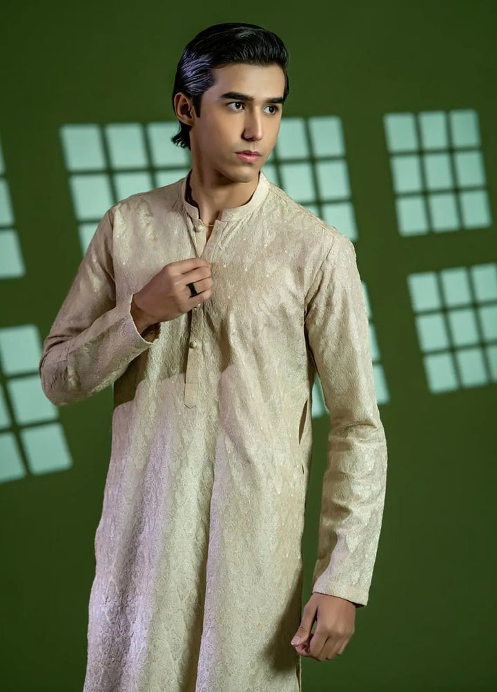 Ahmad Raza Formal Silk Mens 2 Piece Suit AR5153