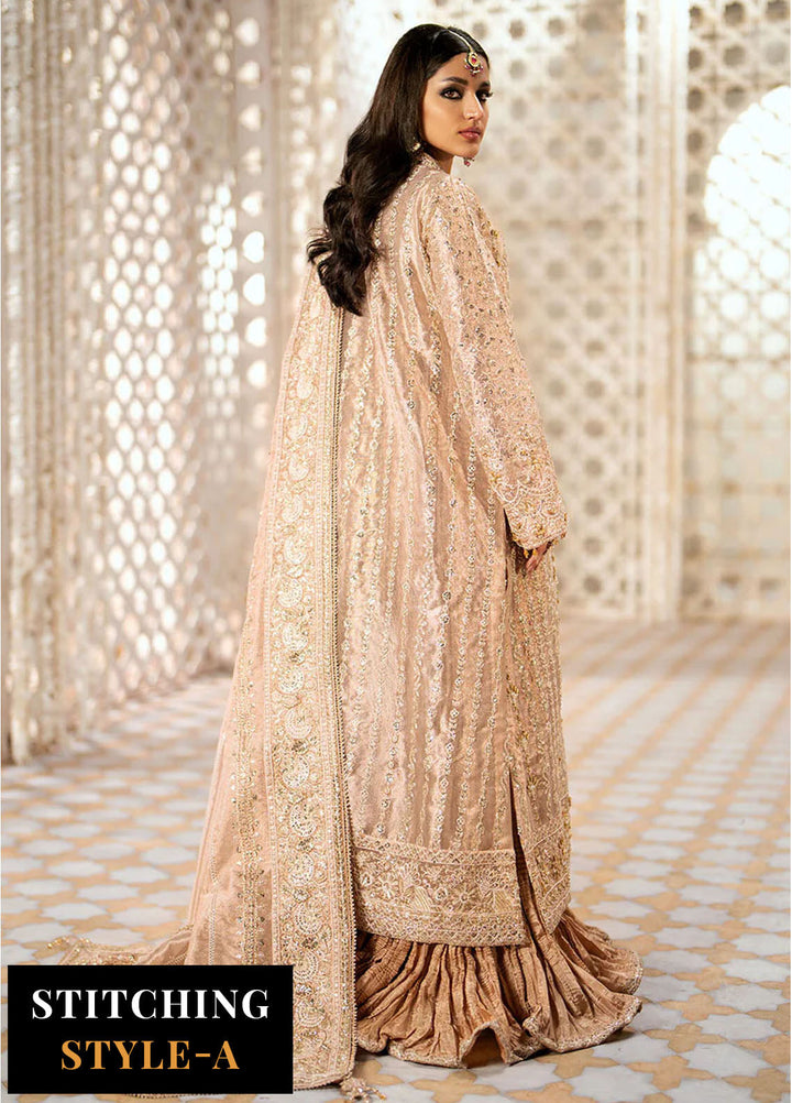 AIK Atelier Embroidered Tissue Suits Unstitched 3 Piece AIK24WF Look 06 - Wedding Collection