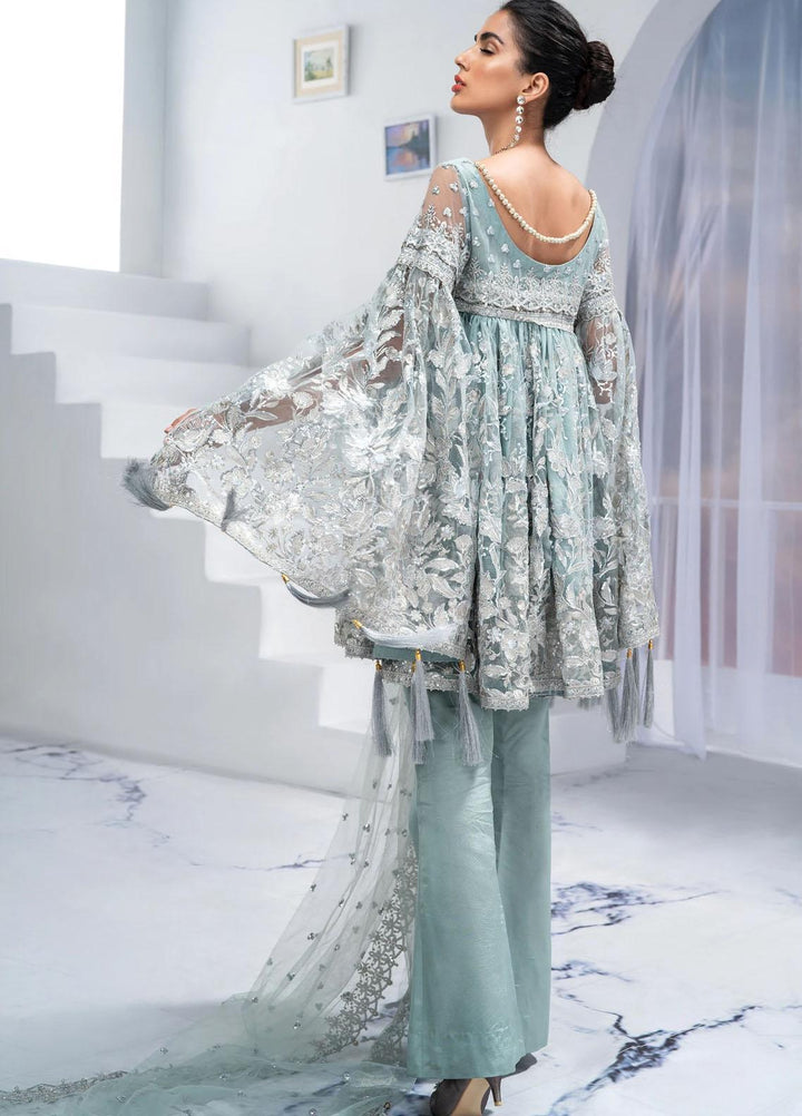 Akbar Aslam Embroidered Net Suits Unstitched 3 Piece AA21F AW08 CELOSIA - Festive Collection