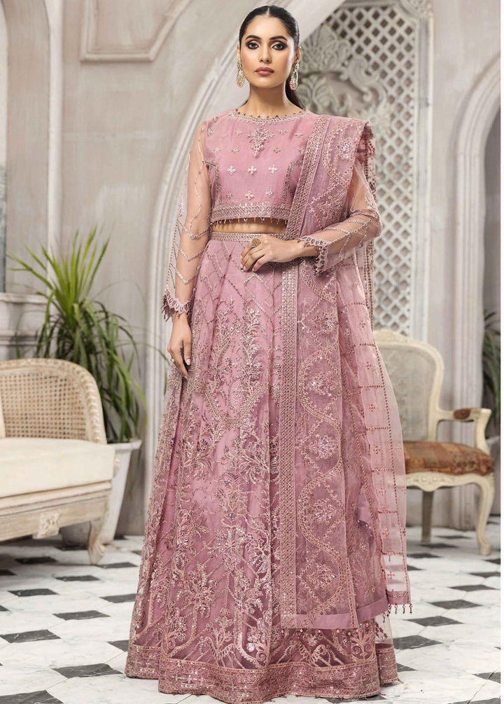 Ek Dastaan By Alizeh Fashion Embroidered Net Suits Unstitched 3 Piece AFB22ED 01 Mahpera - Festive Collection