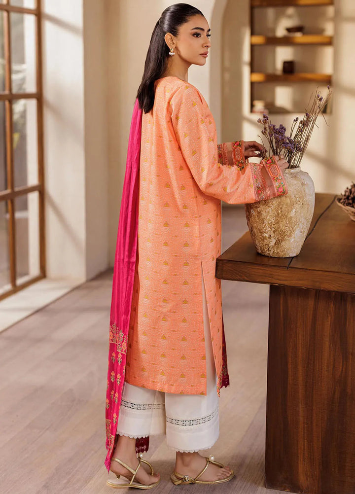 Amari by RajBari Embroidered Lawn Suits Unstitched 3 Piece RB25A D-04 - Summer Collection