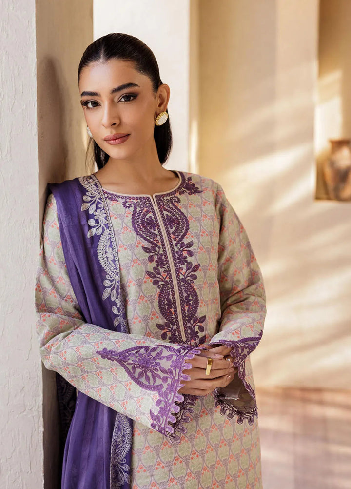 Amari by RajBari Embroidered Lawn Suits Unstitched 3 Piece RB25A D-11 - Summer Collection