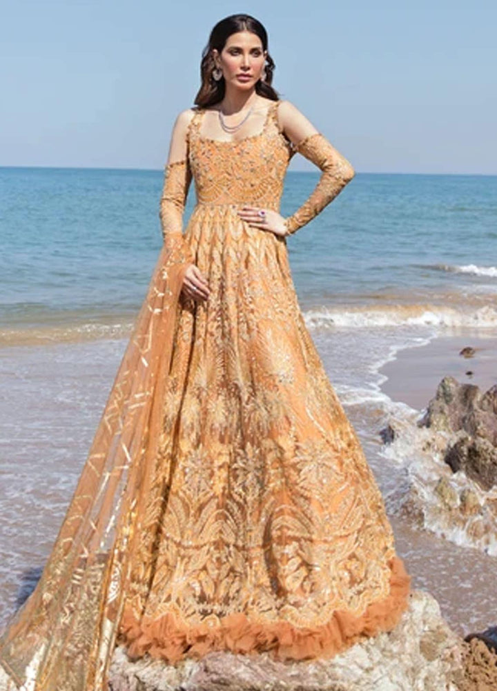 Amiraa by Reign Embroidered Net Suits Unstitched 3 Piece RGN21AM RN-03 ZENDAYA-A - Luxury Collection