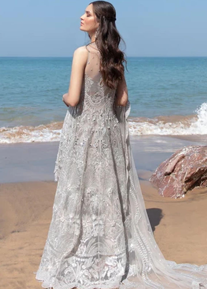 Amiraa by Reign Embroidered Net Suits Unstitched 3 Piece RGN21AM RN-04 ZENDAYA-B - Luxury Collection