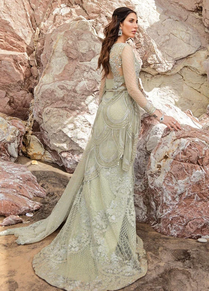 Amiraa by Reign Embroidered Net Suits Unstitched 3 Piece RGN21AM RN-06 ZAINA-B - Luxury Collection