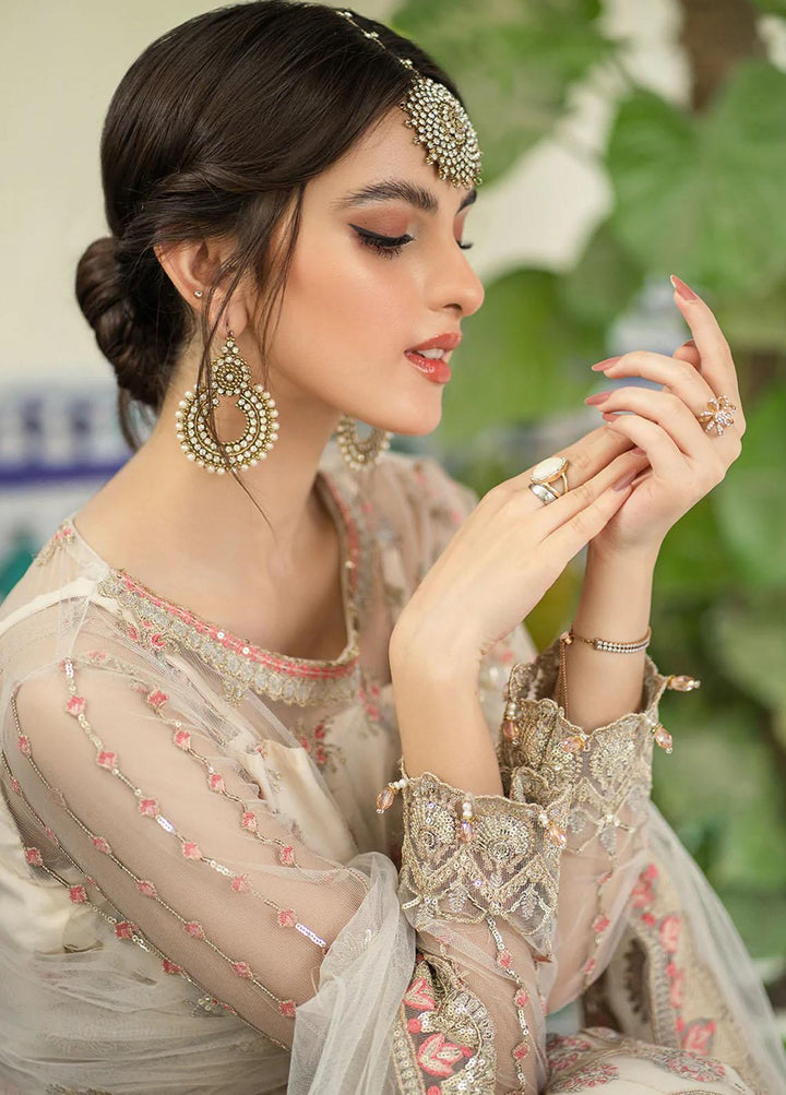 Andaz-e-Khas By Resham Ghar Embroidered Net Suits Unstitched 3 Piece RG22AK JAHAN ARA - Luxury Collection