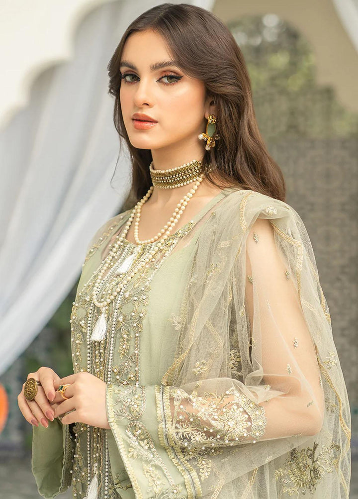 Andaz-e-Khas By Resham Ghar Embroidered Net Suits Unstitched 3 Piece RG22AK MAHAROH - Luxury Collection