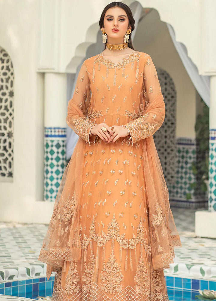 Andaz-e-Khas By Resham Ghar Embroidered Net Suits Unstitched 3 Piece RG22AK MASAKALI - Luxury Collection