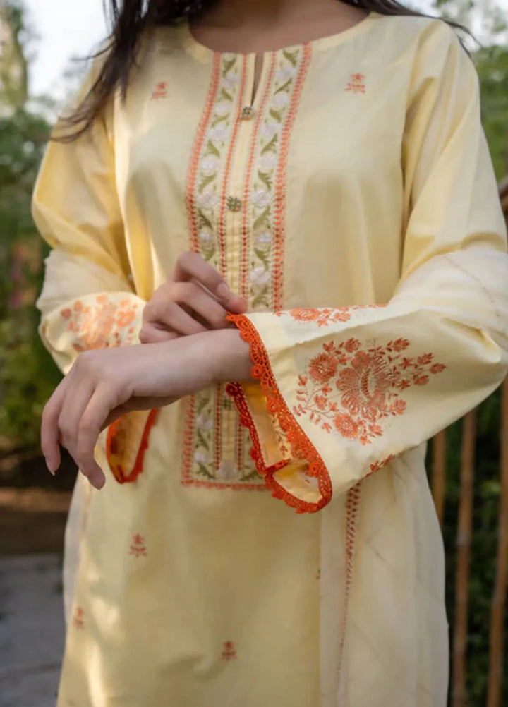 AR Apparel Pret Embroidered Cotton Cambric 3 Piece Suit ARG-0024-07