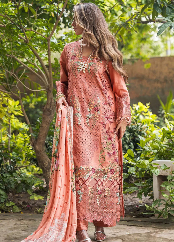 Asifa and Nabeel Embroidered Khaddar Suits Unstitched 3 Piece AN24W2 Astor WL-05 - Winter Collection