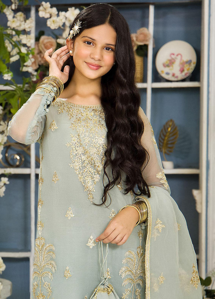 Asim Jofa Organza Festive Pret 3 Piece Suit for Girls -  AJ23TF AJTF-05