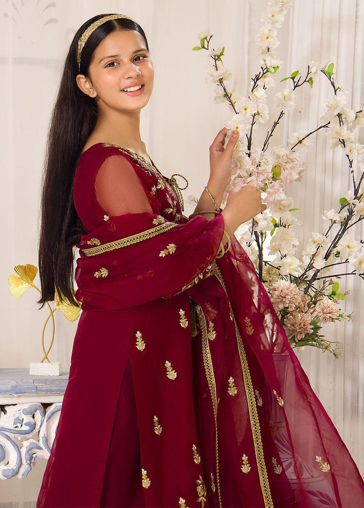 Asim Jofa Organza Festive Pret 3 Piece Suit for Girls -  AJ23TF AJTF-10