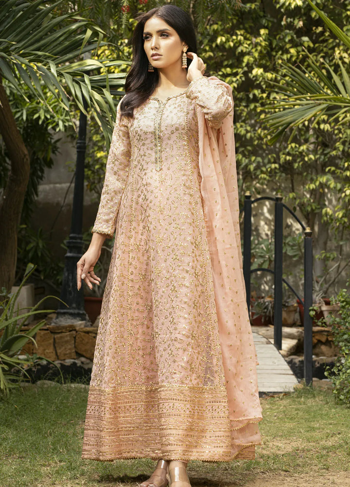 Ayesha Closet Pret Embroidered Chiffon 3 Piece Suit Sawariya Pastel Pink