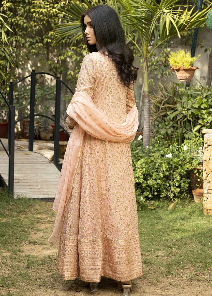 Ayesha Closet Pret Embroidered Chiffon 3 Piece Suit Sawariya Pastel Pink