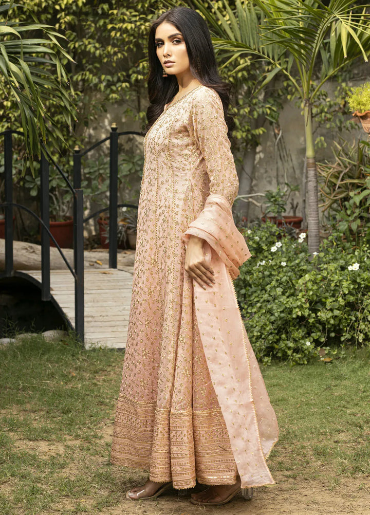 Ayesha Closet Pret Embroidered Chiffon 3 Piece Suit Sawariya Pastel Pink