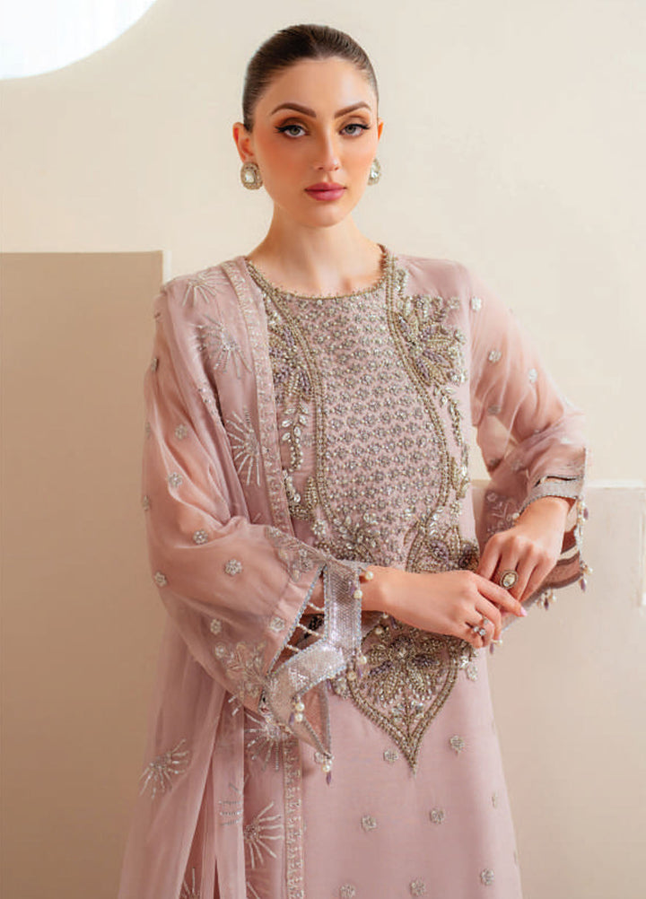 Aymal by Alizeh Fashion Embroidered Chiffon Suits Unstitched 3 Piece AFB25BC D-05 Sira - Luxury Collection