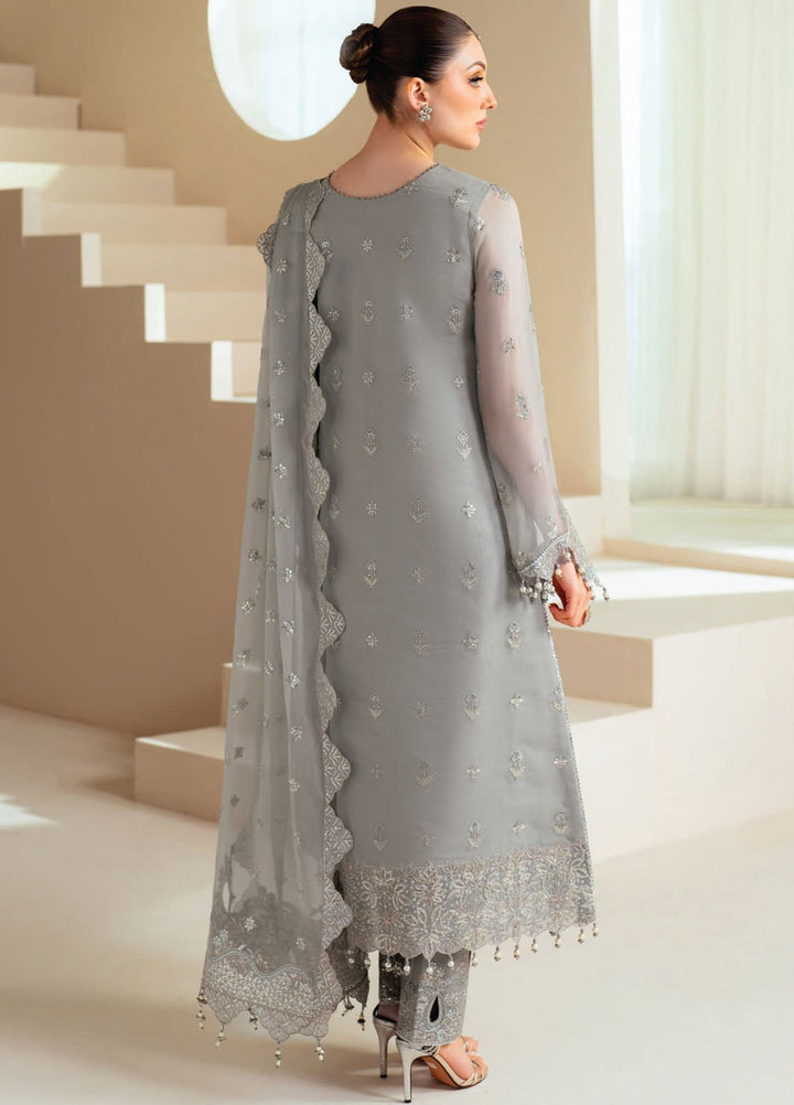 Aymal by Alizeh Fashion Embroidered Chiffon Suits Unstitched 3 Piece AFB25BC D-06 Ahvi - Luxury Collection