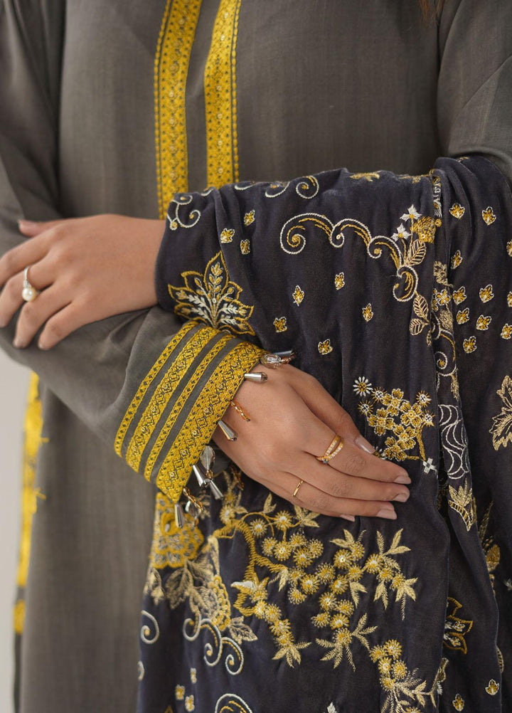 Ayra by Muraad Embroidered Raw Silk Suits Unstitched 3 Piece MU22AR A-003 Mahnum - Luxury Winter Collection