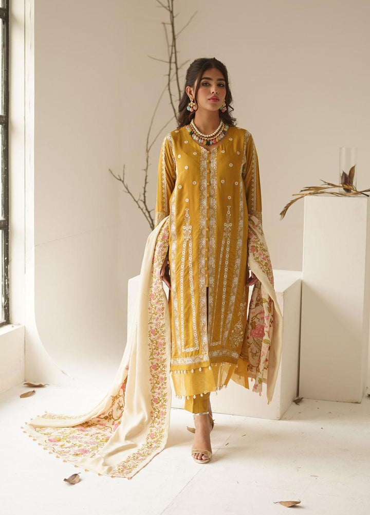 Ayra by Muraad Embroidered Raw Silk Suits Unstitched 3 Piece MU22AR A-005 Arzu - Luxury Winter Collection