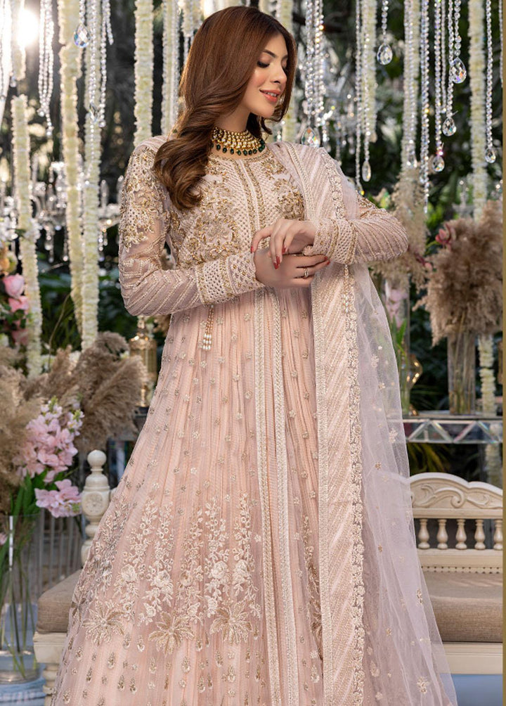Azure Embroidered Net Suits Unstitched 4 Piece AZU23WD BR-011 Tabassum - Wedding Collection