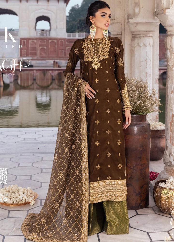 Baagh By AIK Atelier Embroidered Velvet Suits Unstitched 3 Piece AIK22B Look 10 - Winter Collection