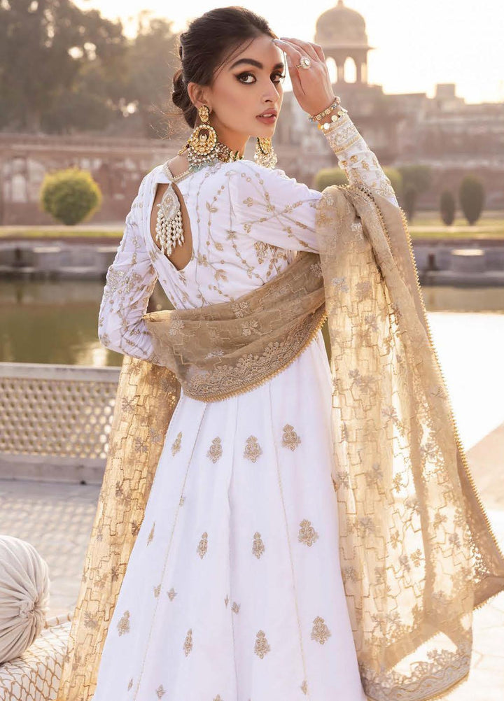 Baagh By AIK Atelier Embroidered Velvet Suits Unstitched 3 Piece AIK22B Look 6 - Winter Collection